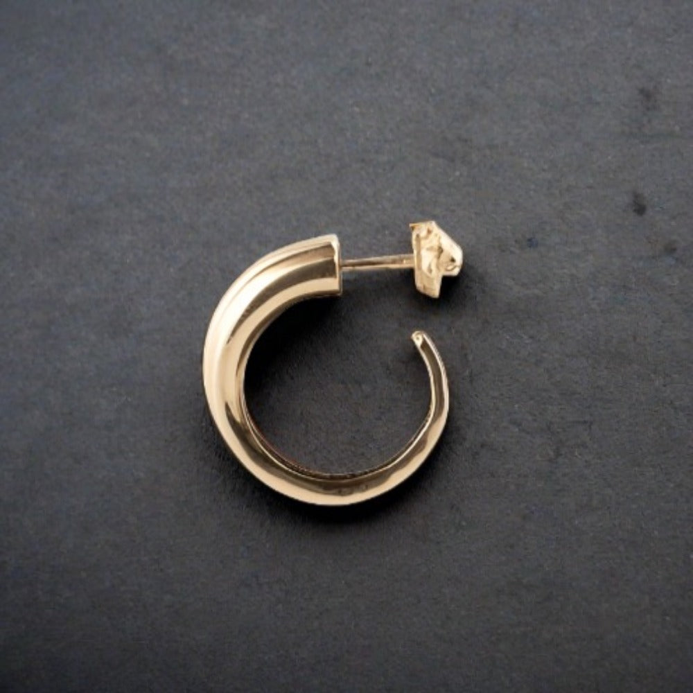 Lion Post Earring