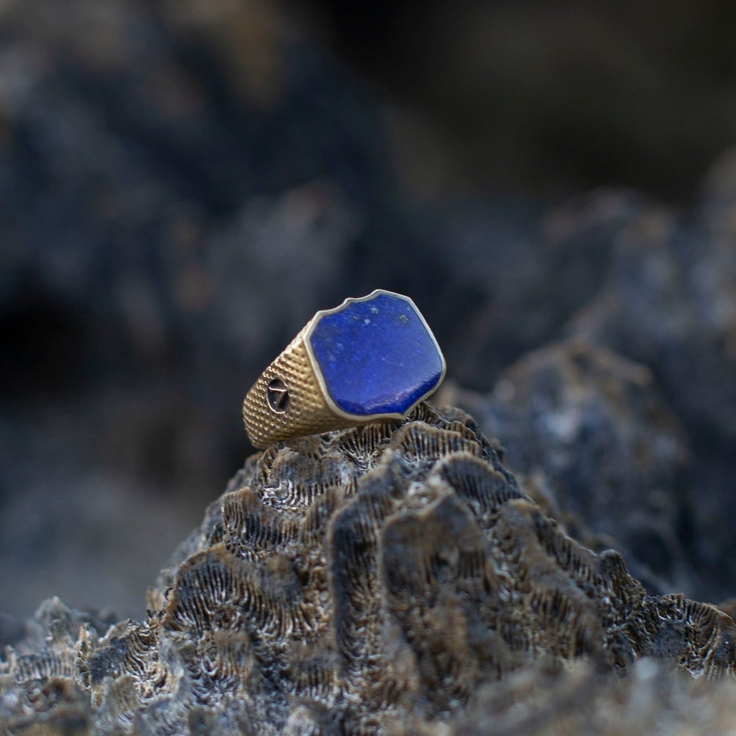 Lapis Lazuli Lion Signet Ring
