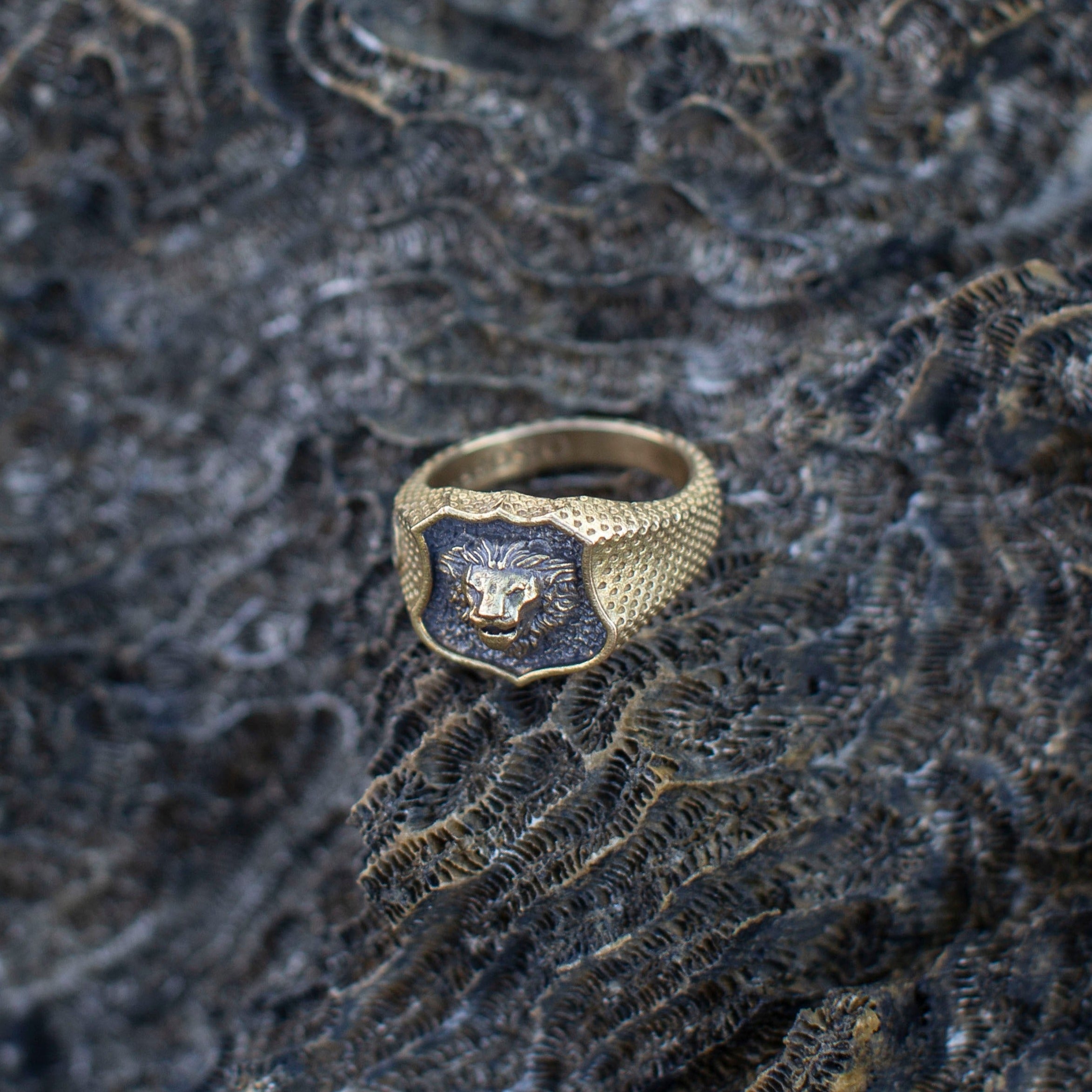 14k Gold Lion of Judah Signet Ring | Baltinester Jewelry